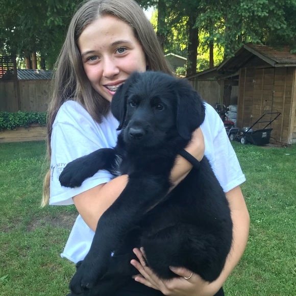 Meet your Posher, Kennedy - Picture 1 of 1